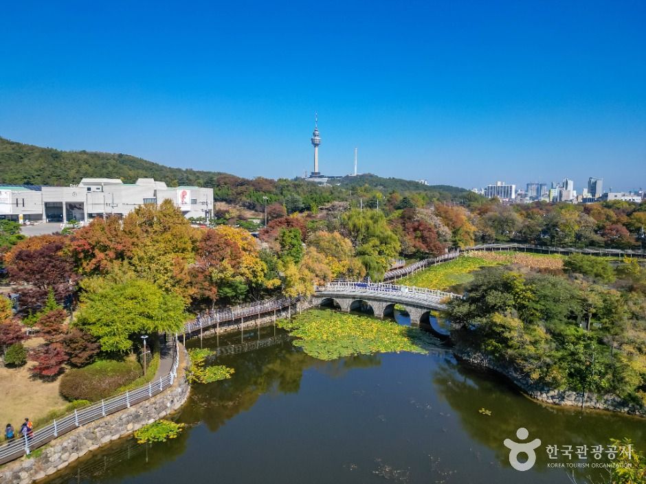 성당못 여행 추천 - 메고지고 성당못 여행 추천 - 메고지고