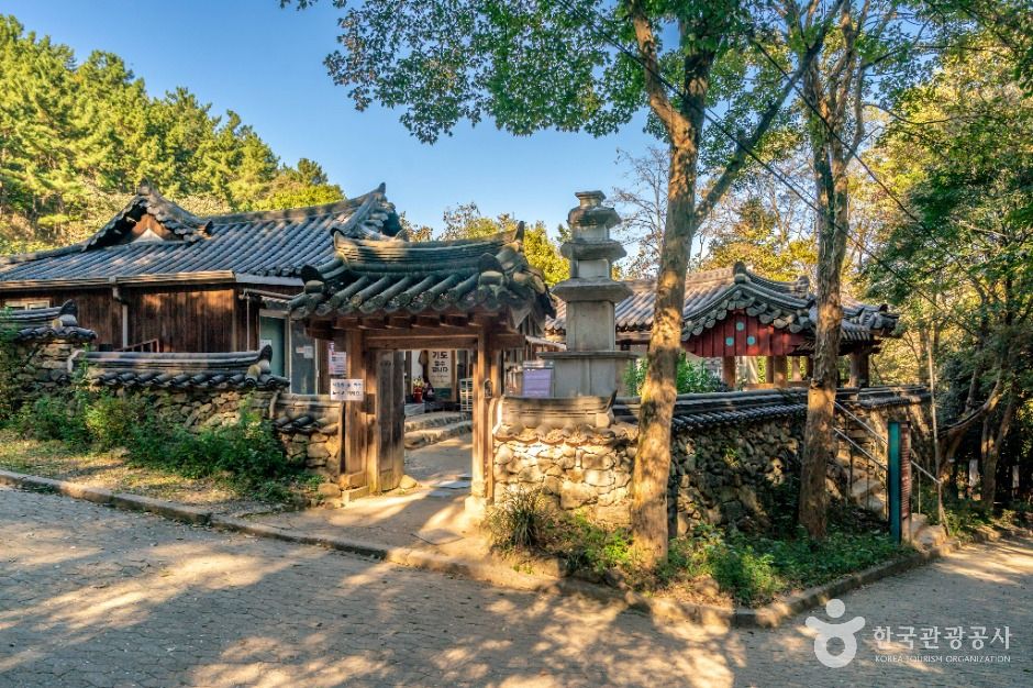 법장사(대구) 여행 추천 - 메고지고 법장사(대구) 여행 추천 - 메고지고
