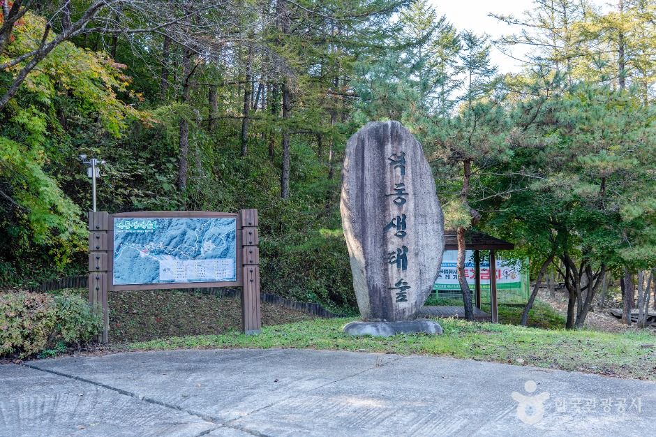 덕동생태숲 여행 추천 - 메고지고 덕동생태숲 여행 추천 - 메고지고