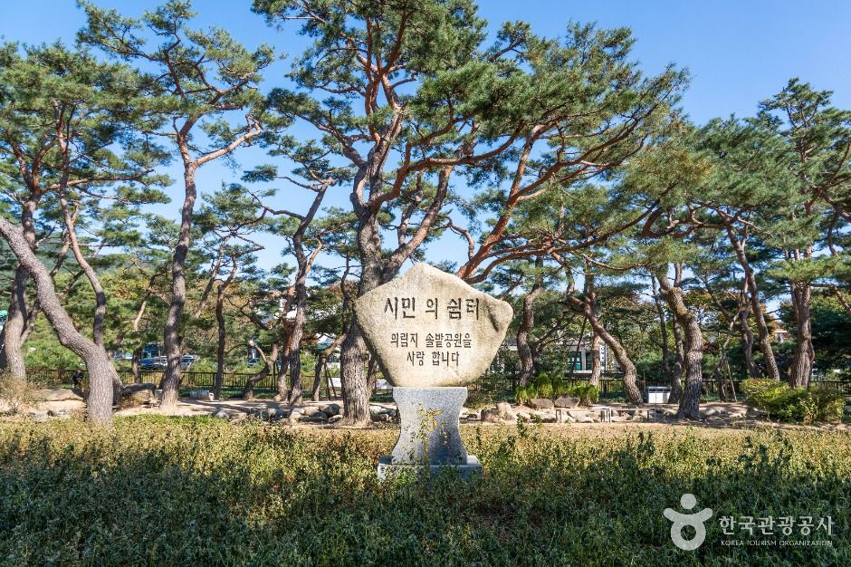 의림지 솔밭공원 여행 추천 - 메고지고 의림지 솔밭공원 여행 추천 - 메고지고