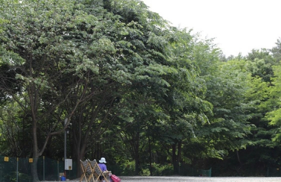 영덕칠보산오토캠핑장 여행 추천 - 메고지고 영덕칠보산오토캠핑장 여행 추천 - 메고지고