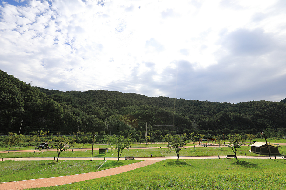 금수강산문화공원 야영장 여행 추천 - 로드트립
