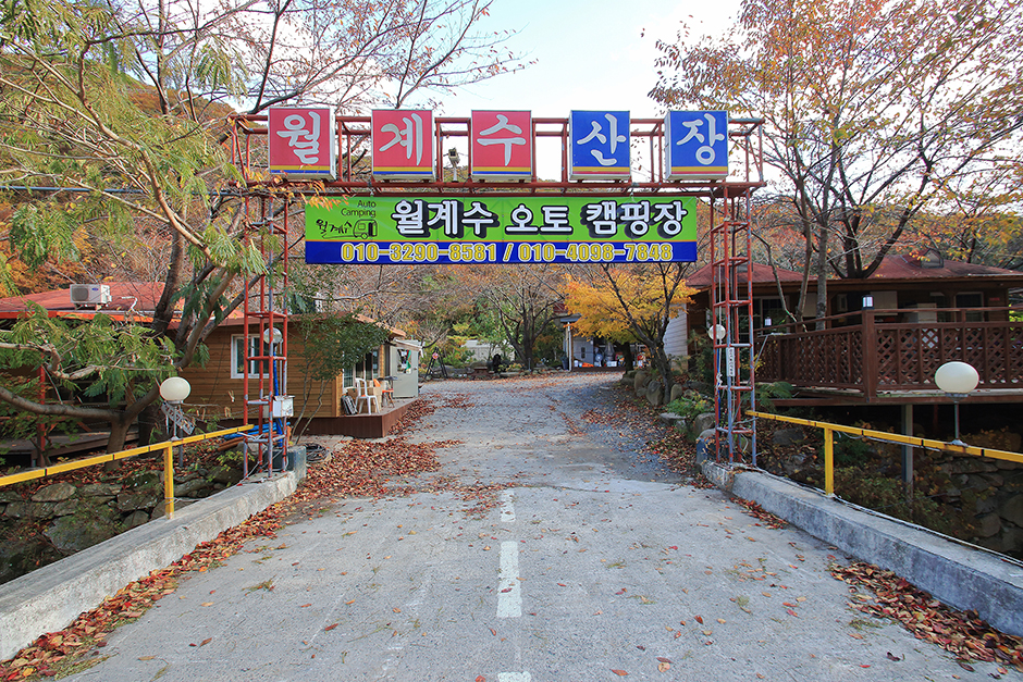 월계수 캠핑장 여행 추천 - 메고지고 월계수 캠핑장 여행 추천 - 메고지고
