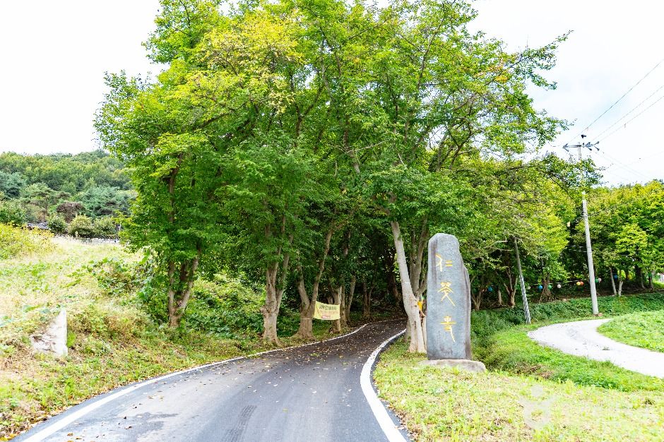 인취사(아산) 여행 추천 - 메고지고 인취사(아산) 여행 추천 - 메고지고