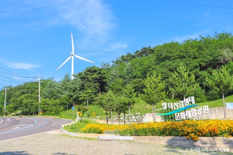 별파랑공원 여행 추천 - 메고지고 별파랑공원 여행 추천 - 메고지고