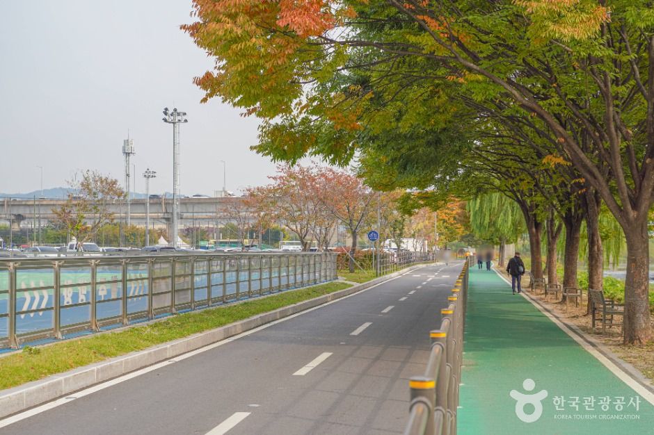 살곶이체육공원 여행 추천 - 메고지고 살곶이체육공원 여행 추천 - 메고지고