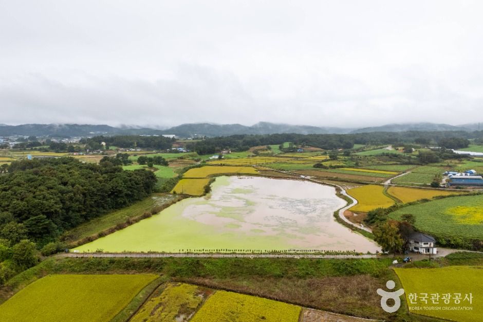 부여 산직지 여행 추천 - 메고지고 부여 산직지 여행 추천 - 메고지고