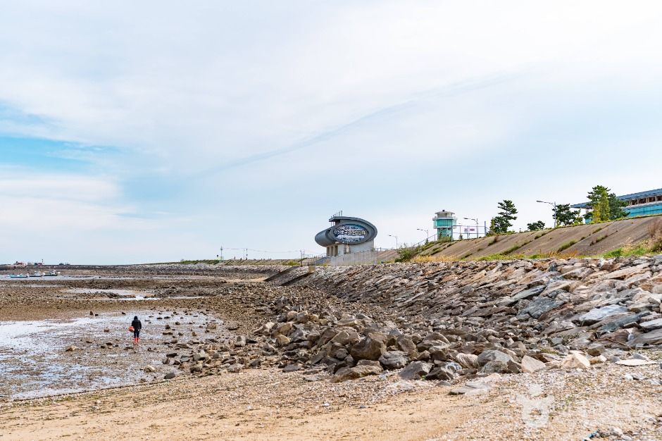 마섬포구 여행 추천 - 메고지고 마섬포구 여행 추천 - 메고지고