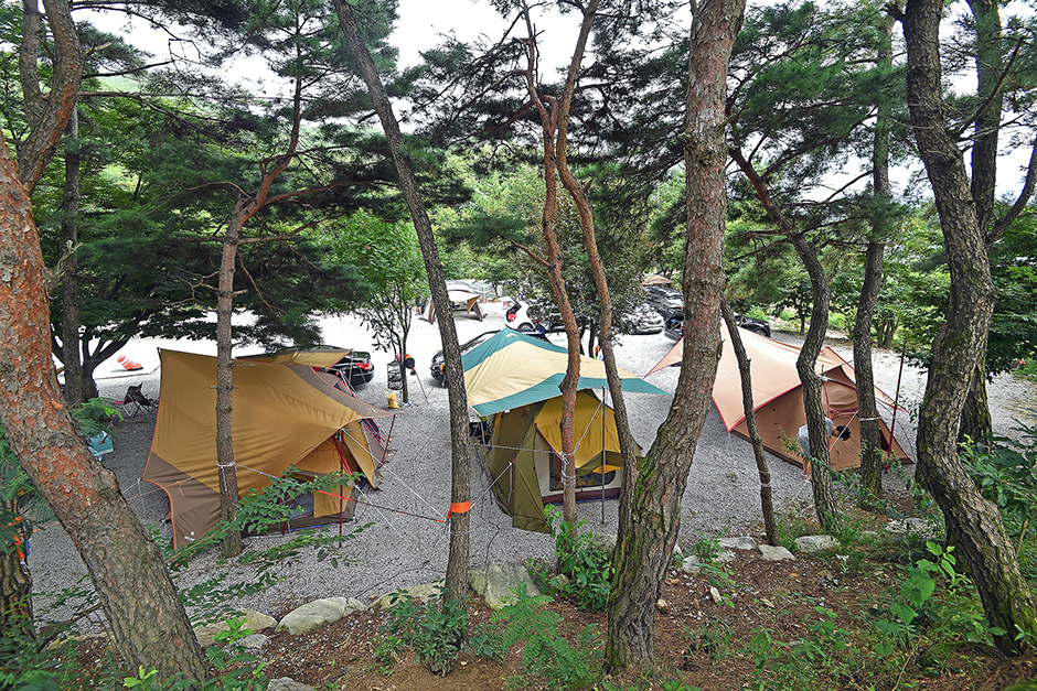 용추그린하우스 여행 추천 - 메고지고