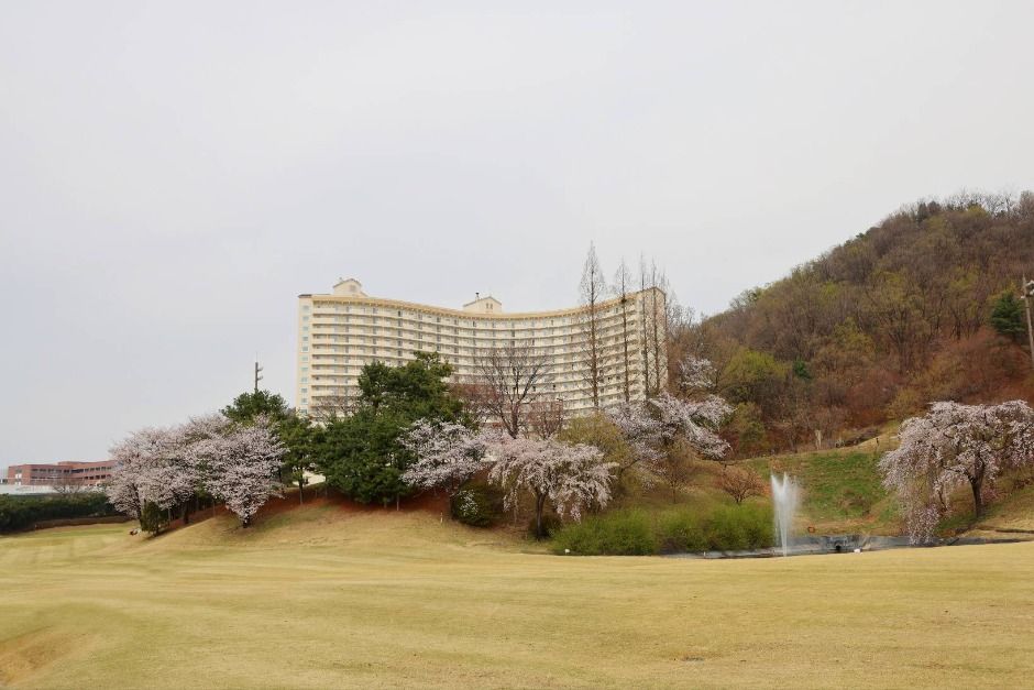 라비돌컨트리클럽 여행 추천 - 메고지고 라비돌컨트리클럽 여행 추천 - 메고지고