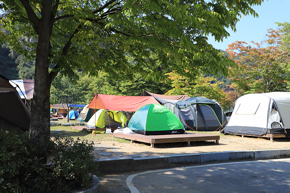 팔봉산관광지 야영장 여행 추천 - 메고지고 팔봉산관광지 야영장 여행 추천 - 메고지고