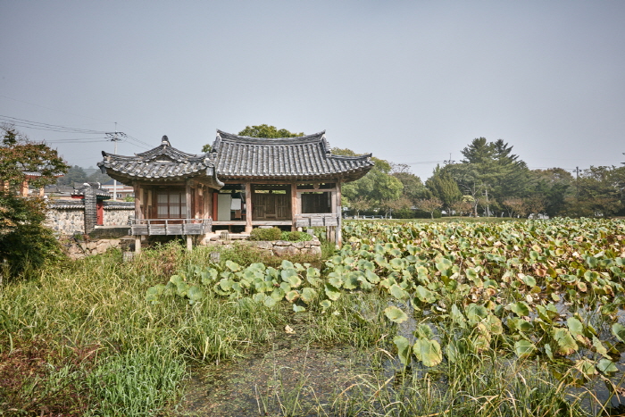 경주 서출지 여행 추천 - 메고지고 경주 서출지 여행 추천 - 메고지고