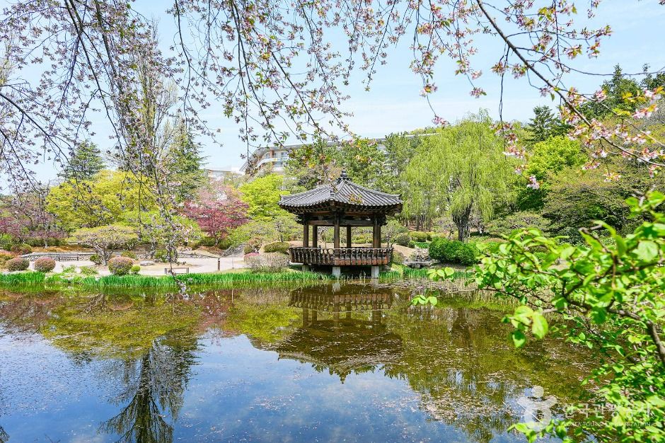 보문정(경주) 여행 추천 - 메고지고 보문정(경주) 여행 추천 - 메고지고