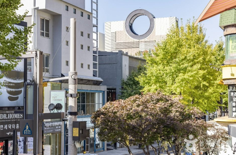 신사동 가로수길 여행 추천 - 메고지고