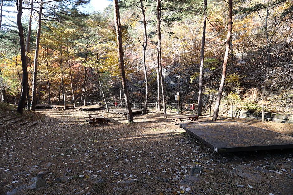 국립검마산자연휴양림캠핑장 여행 추천 - 메고지고 국립검마산자연휴양림캠핑장 여행 추천 - 메고지고