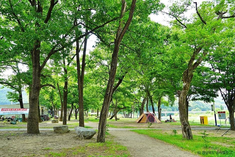 고령 신촌숲 여행 추천 - 메고지고 고령 신촌숲 여행 추천 - 메고지고