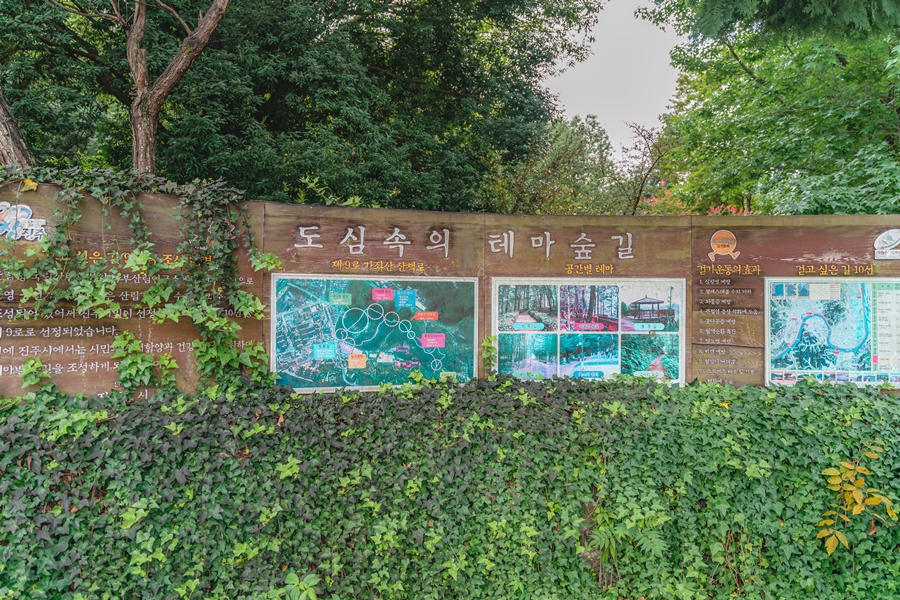 가좌산대나무숲길 여행 추천 - 메고지고 가좌산대나무숲길 여행 추천 - 메고지고