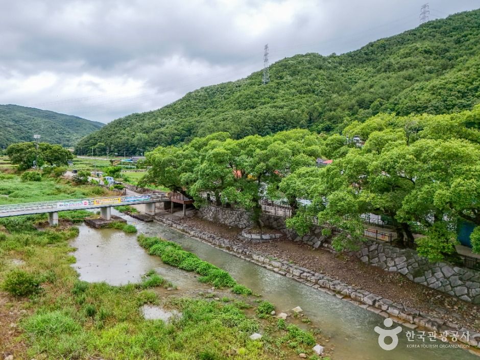 거락계곡 여행 추천 - 메고지고 거락계곡 여행 추천 - 메고지고
