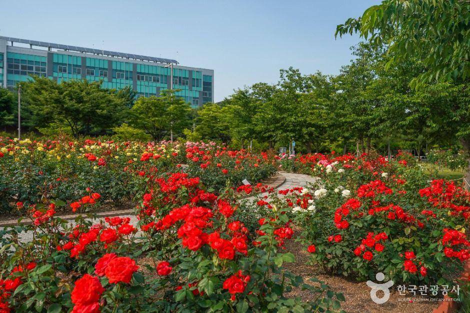 신서 중앙공원 여행 추천 - 메고지고 신서 중앙공원 여행 추천 - 메고지고