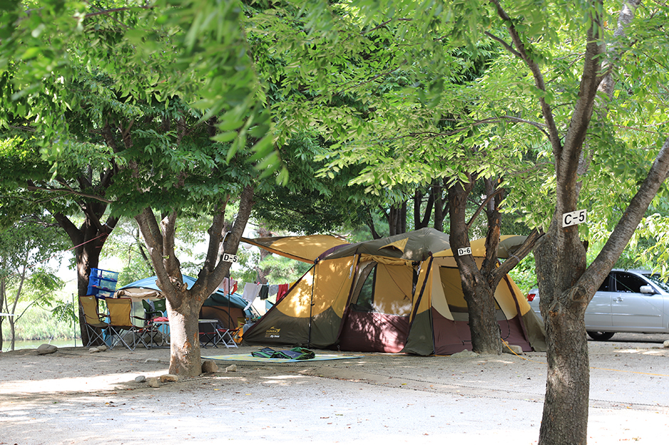 돌배야영장(제2야영장) 여행 추천 - 메고지고 돌배야영장(제2야영장) 여행 추천 - 메고지고