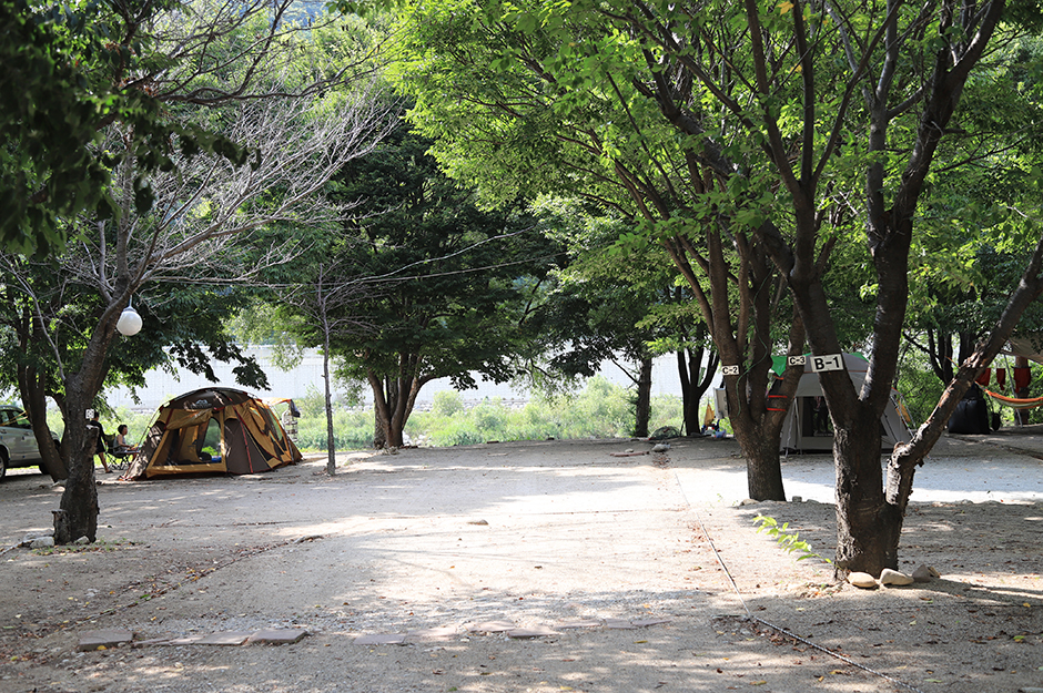 돌배야영장(제2야영장) 여행 추천 - 메고지고 돌배야영장(제2야영장) 여행 추천 - 메고지고