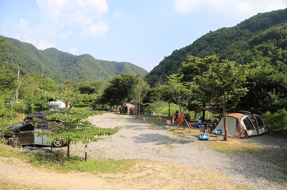 호식이 캠핑장 여행 추천 - 메고지고 호식이 캠핑장 여행 추천 - 메고지고