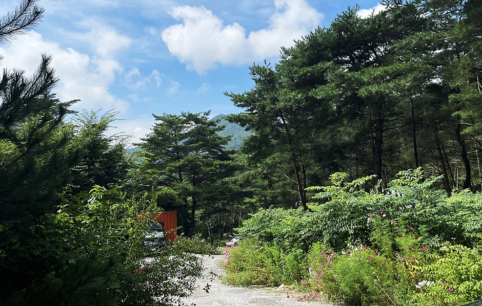 별빛캠핑장 여행 추천 - 메고지고 별빛캠핑장 여행 추천 - 메고지고
