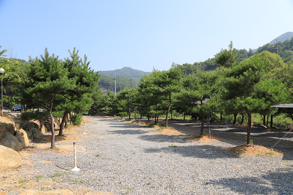 무릉도원 캠핑장 여행 추천 - 메고지고 무릉도원 캠핑장 여행 추천 - 메고지고