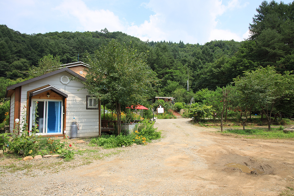 숲속의정든집야영장 여행 추천 - 메고지고