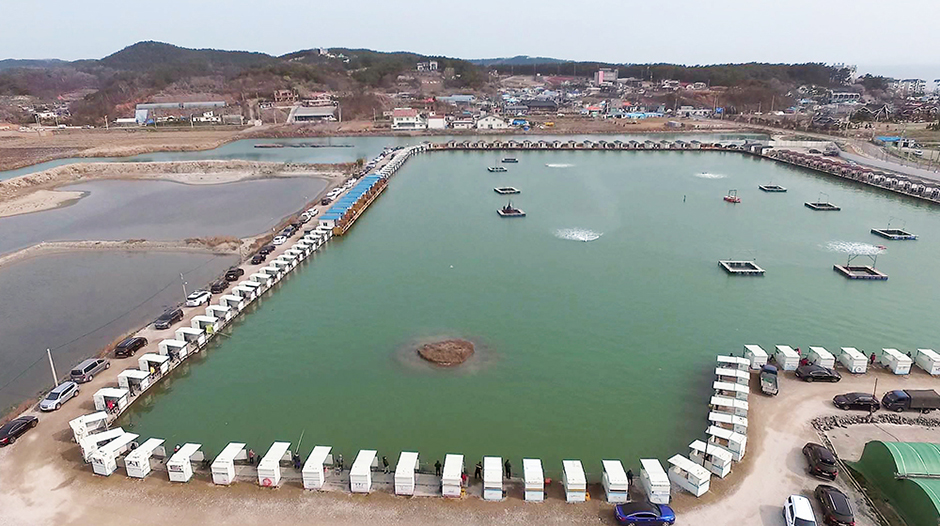영흥바다낚시터 여행 추천 - 메고지고 영흥바다낚시터 여행 추천 - 메고지고