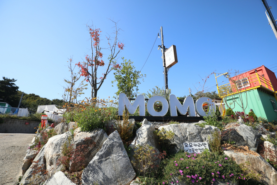 모모카라반 여행 추천 - 메고지고 모모카라반 여행 추천 - 메고지고