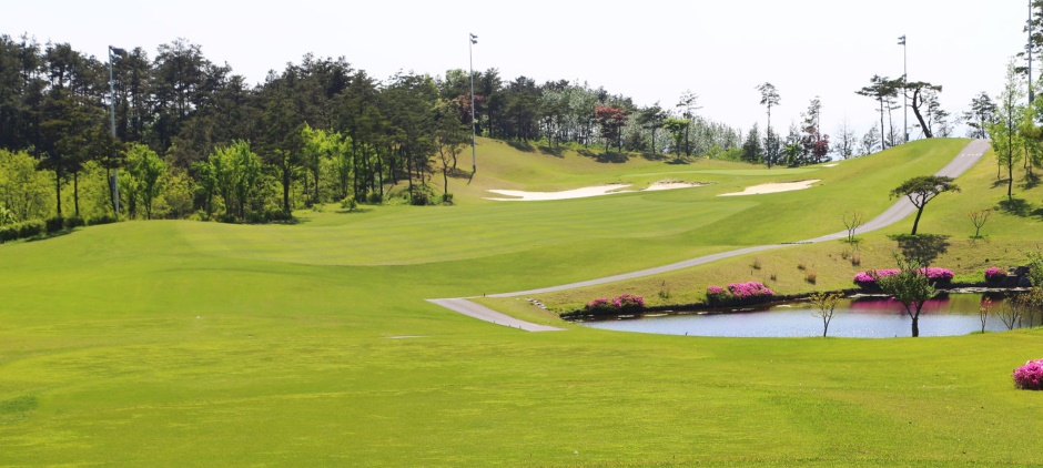 영천오펠GC 여행 추천 - 메고지고 영천오펠GC 여행 추천 - 메고지고