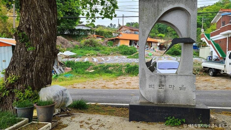 금남 백로 서식지 여행 추천 - 메고지고 금남 백로 서식지 여행 추천 - 메고지고