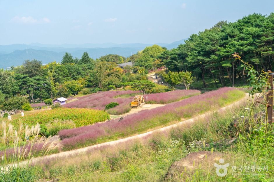 가산수피아 여행 추천 - 메고지고 가산수피아 여행 추천 - 메고지고
