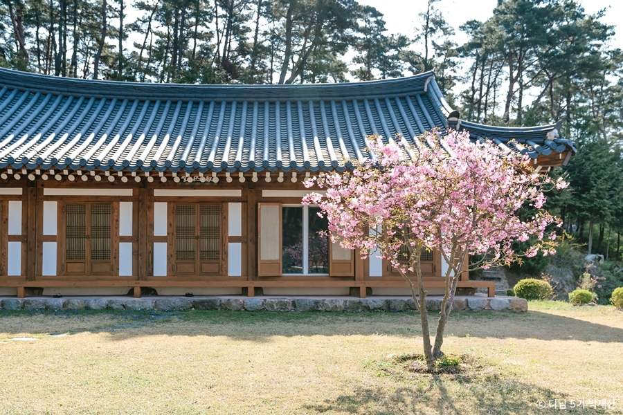 수림사 여행 추천 - 메고지고