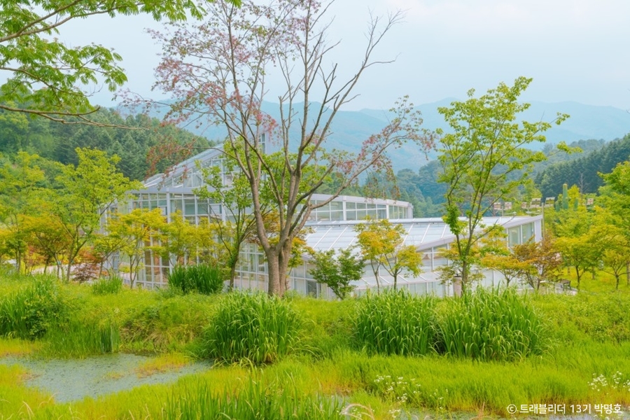 김천 친환경생태공원 여행 추천 - 메고지고 김천 친환경생태공원 여행 추천 - 메고지고