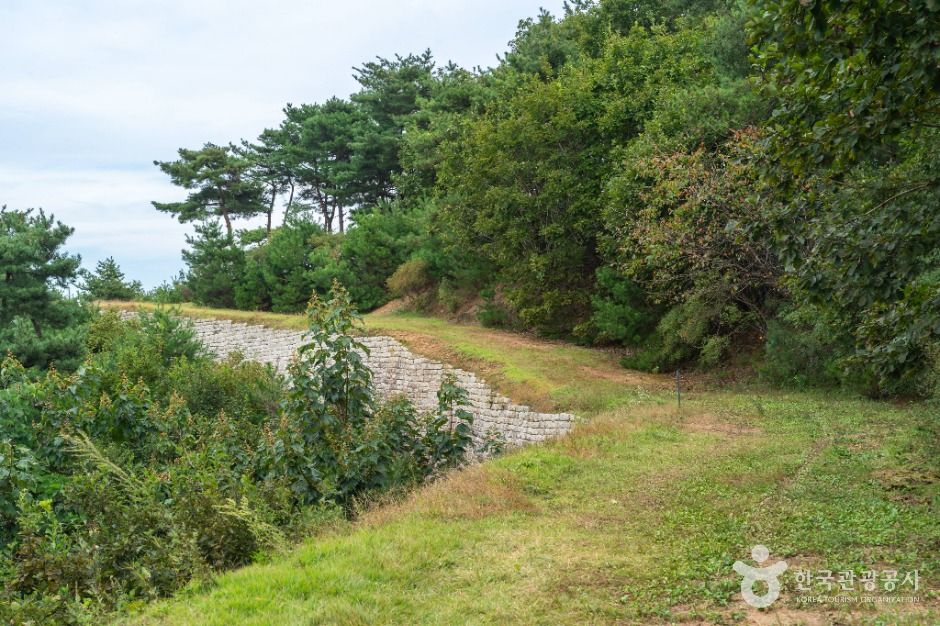 충주 장미산성 여행 추천 - 메고지고 충주 장미산성 여행 추천 - 메고지고