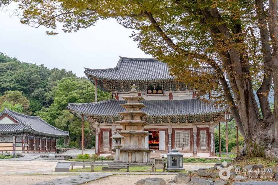 무량사(부여) 여행 추천 - 메고지고 무량사(부여) 여행 추천 - 메고지고