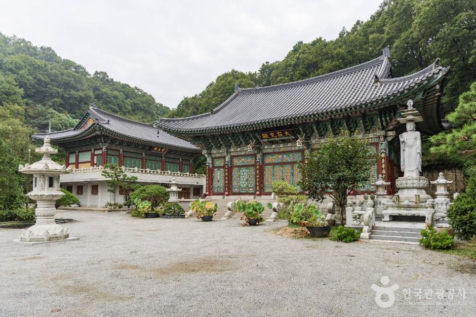 미륵사(용인) 여행 추천 - 메고지고 미륵사(용인) 여행 추천 - 메고지고