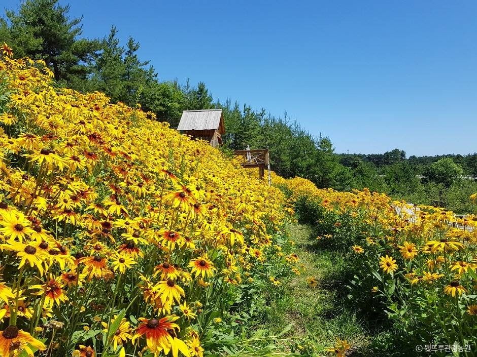 뒷뜨루관광농원 여행 추천 - 메고지고 뒷뜨루관광농원 여행 추천 - 메고지고