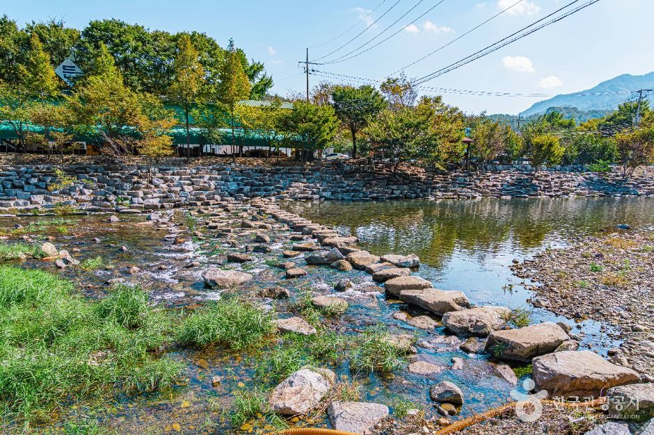 장선천 여행 추천 - 메고지고 장선천 여행 추천 - 메고지고