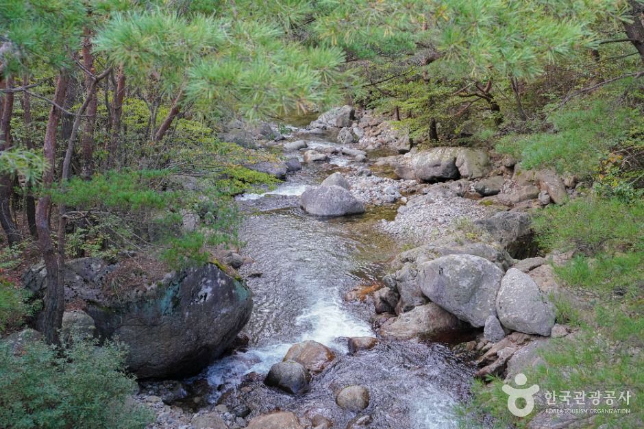 칠연계곡 여행 추천 - 메고지고 칠연계곡 여행 추천 - 메고지고