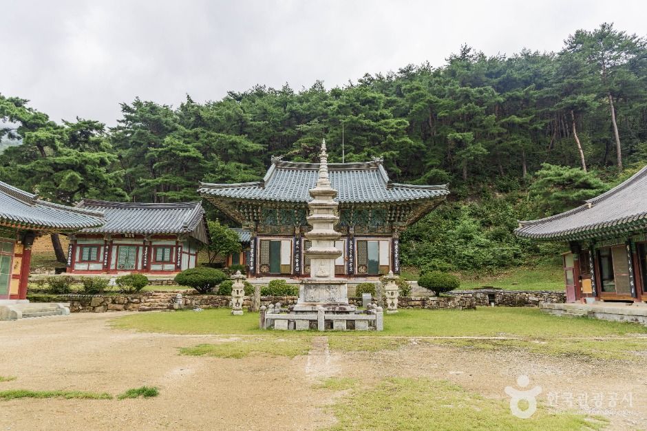 용흥사(상주) 여행 추천 - 메고지고 용흥사(상주) 여행 추천 - 메고지고