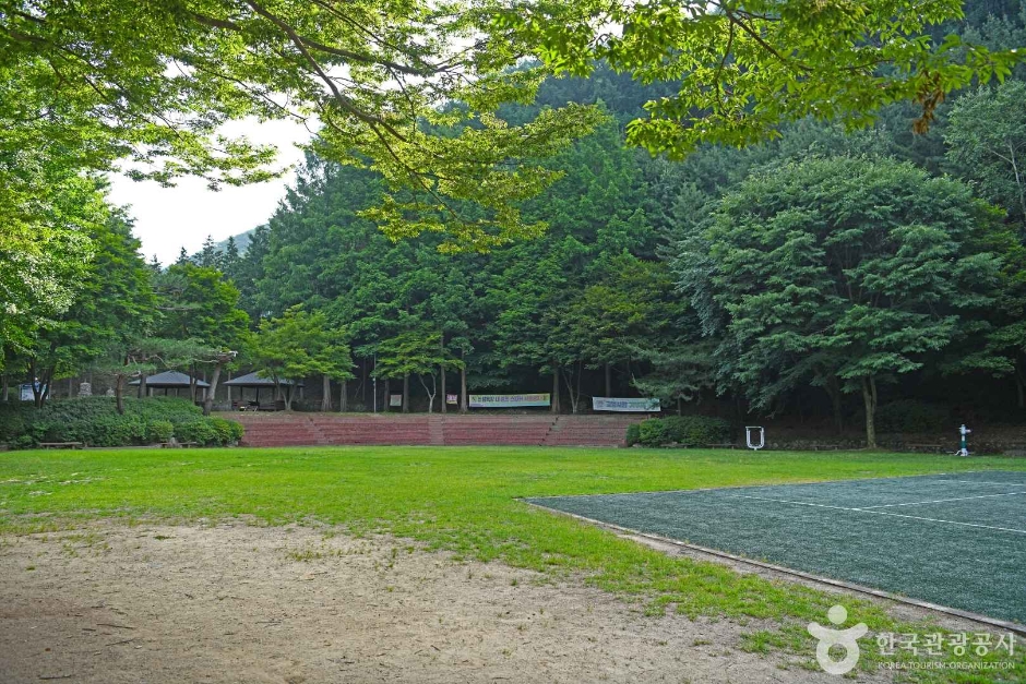 봉학골산림욕장 여행 추천 - 메고지고 봉학골산림욕장 여행 추천 - 메고지고