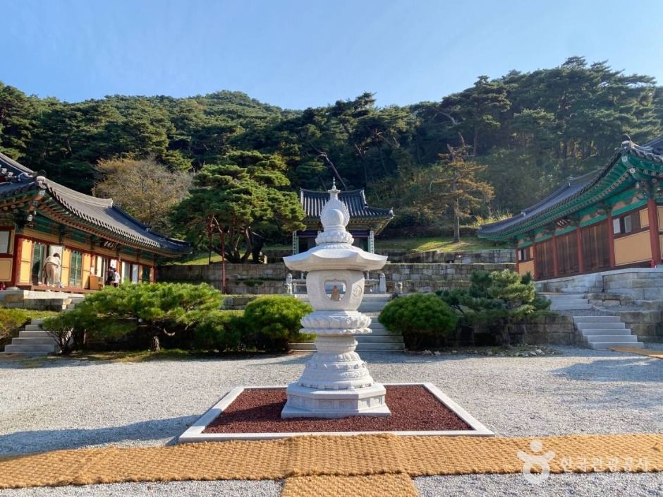 국형사 여행 추천 - 메고지고