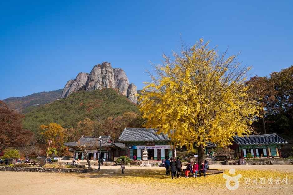 대전사 여행 추천 - 메고지고 대전사 여행 추천 - 메고지고