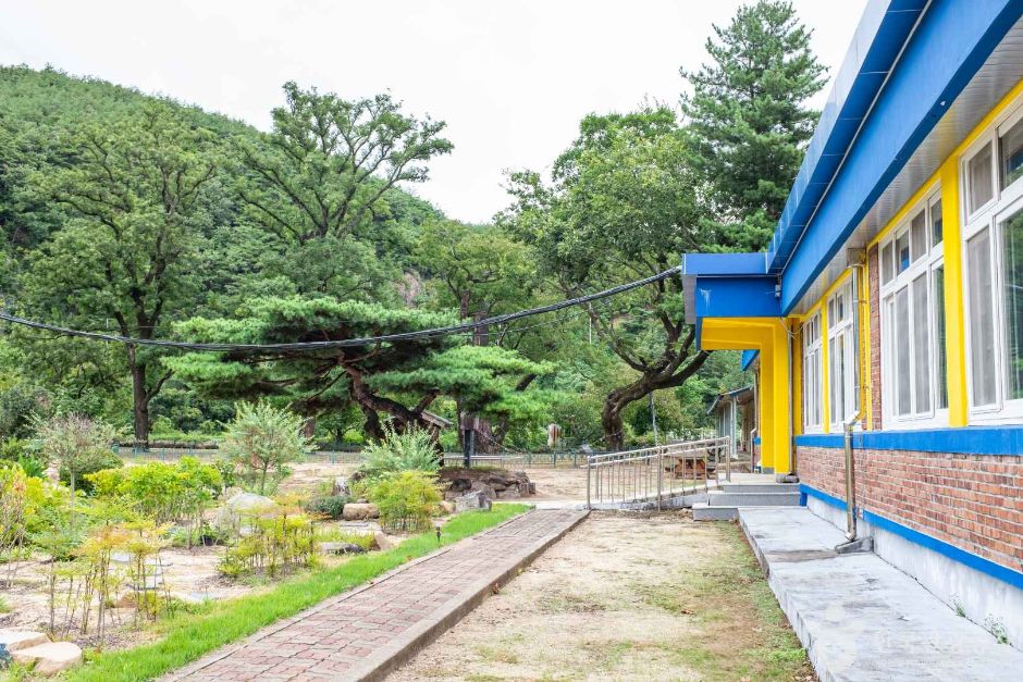 안동 송사동 소태나무 여행 추천 - 메고지고 안동 송사동 소태나무 여행 추천 - 메고지고