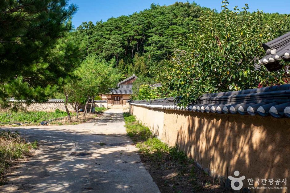 안동 내앞마을 여행 추천 - 메고지고 안동 내앞마을 여행 추천 - 메고지고