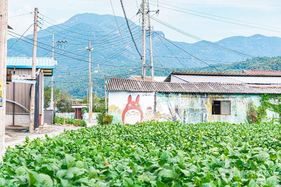 소양 마수벽화마을 여행 추천 - 메고지고 소양 마수벽화마을 여행 추천 - 메고지고