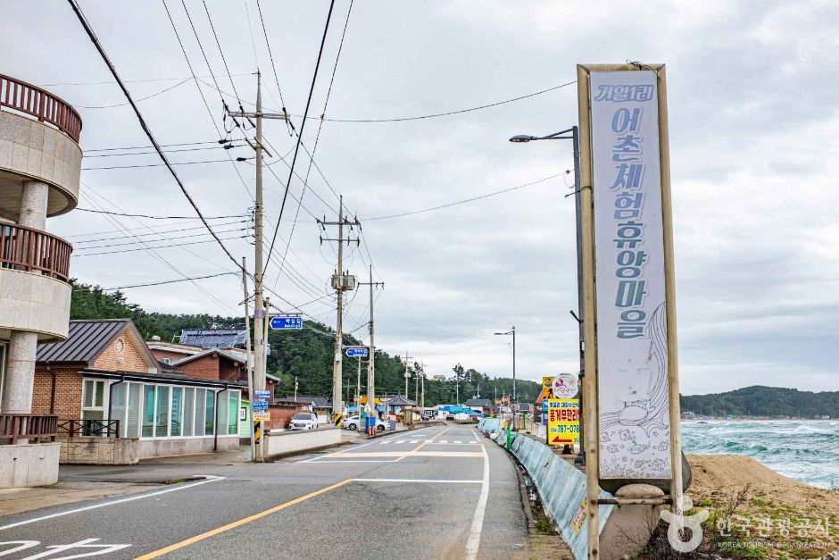 거일1리 어촌체험마을 여행 추천 - 메고지고 거일1리 어촌체험마을 여행 추천 - 메고지고